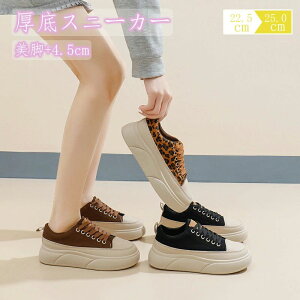 C\[Xj[J[ nCJbg Xj[J[  IVXj[J[ fB[X Xj[J[ H~ ʊw ₷  C