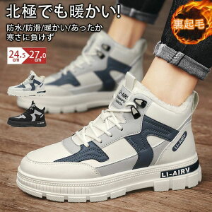 Xm[V[Y u[c  h YXm[u[c oRAEghA h  ނ ʊw ~ h Lv plChC