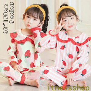  [EFA Y{ q ZbgAbv tH vg xr[ ̎q pW}  LbY pW} Mtg Vi