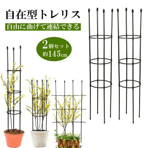  U K[fjO  KN o   Ԏx x K[f ACA IxXN op gX y2Zbg