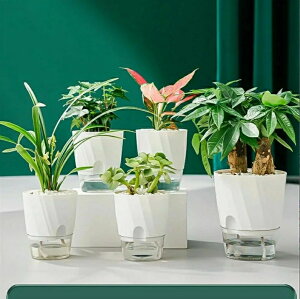 自己給水 多肉 底面給水 家庭植物 観葉植物 現代風 装飾 植木鉢 ポット 花植物 プラスチック製 サボ 水耕栽培 プランター ハーブ