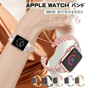 41 Series7 XeX fB[X oh watch apple 46mm Series10 LL oh AbvEHb` V[YΉ SE3 y11