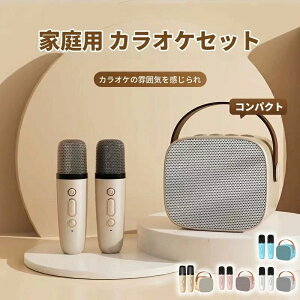 子供 ミニ 家庭用 カラオケ 子ども ボ ワイヤレスマイクシステム カラオケセット 2025新型 2ハンドヘルドマイク カラオケマイク