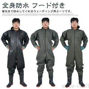 ނ t[ht cA `FXgnCEF_[ jp Y H fB[X Sgh EF[_[ h ʋC 