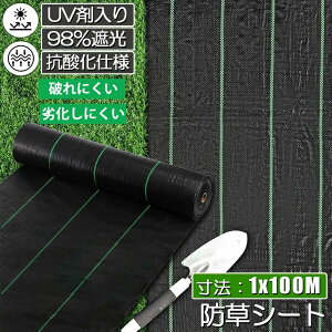 |pV[g 100m [ ƒ؉ UVܓ ϋvN3N lH  |p ƒp 1m ԏ Gh~V[g  V[g Gʐ  DIY GV[g X Ő  G G쏜 