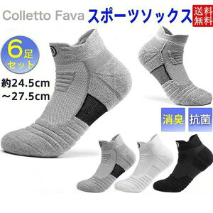  v  gbLO bV 6Zbg \bNX X|[c\bNX  V[g\bNX 싅 jO C Y