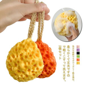 oXX|W 3Zbg AQ p CX V[X|W xr[ lp qp CX|W {fBX|W