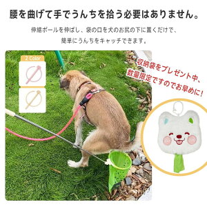 y S~ܕt yɎg Ȃ Lk y[܂v[gAʌł̂ł߂ɁIzp񂿃Lb`[