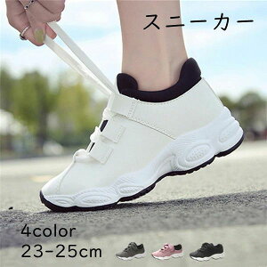 jOV[Y Sn t@bV ^C s lC ʊw Xj[J[ ʋ WMOV[Y tH X|[cV[Y d