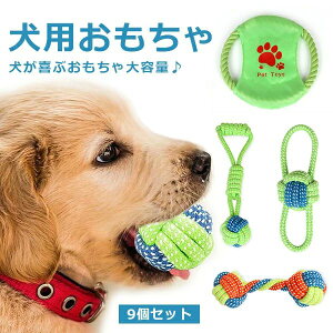 ̂ [v ̃{[ //^ɓKp ̍ pߋ ybgp 9_Zbg v ϋv ނ