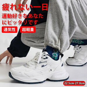  jOV[Y X|[cV[Y ^C fB[X EH[LOV[Y L V[Y C Y Xj[J[