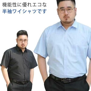 rYX^C 傫TCY z   ʋC CVc Jb^[Vc Y YVc ݑ΍ rWlXVc