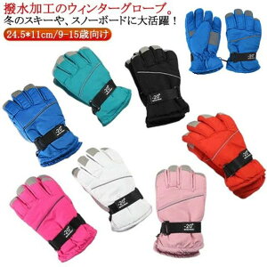 g LbY XL[ V ʊw Xm[O[u Ⴉ XL[O[u qp AEghA ~ ۉ h ĂԂ