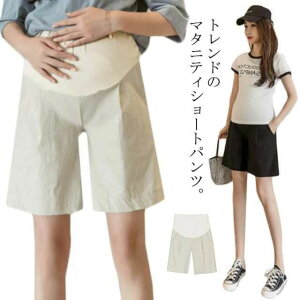 bNX Y{ Zp V[gpc  {gX  n[tpc nCEGXg ɗD }^jeBpc 傫