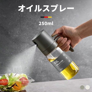 ~Xg ϔM L ېOK  250ml Rh~ J[Jbg BBQ p Lb` \tB^[ ICXv[