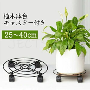   bN\ ԑ  u 30cm v^[ X`[ A LX^[ Aؔ ړ֗ Xgbp[@\t ی^ LX^[t 360°] ubN u v^[X^h 
