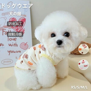 y 悯 cool ̕ z  t ڐG⊴ h   MǑ΍ ybg  ObY 2025 t  vg ^C_C tB