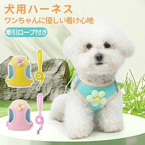  ֗ObY  ʂ n[lX ybgpi S   EȂ L U n[lX  킢 Č ^