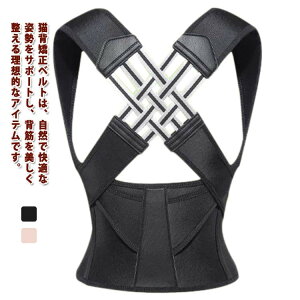 Lwxg q xg  xg 傫TCY w؋xg pT|[^[ pxg  Lw Lwx