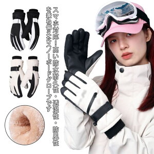 oCN XL[O[u EC^[X|[c O[u fB[X Xm[O[u  Xm[{[h X}zΉ Y 