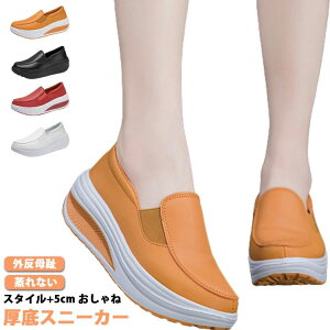 fB[X   h Cq[Xj[J[ 5 y _bhXj[J[ EH[LOV[Y ؍ Xj[J[ 傫TCY