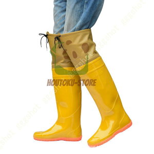 CV[Y  J Y _ SC SC ɂ Cu[c  O ϖ ƌC h Y ϊ C