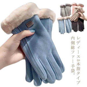 fB[X X}[gtHΉ X}z 5{w  g t@[  O[u 킢 N X}zΉ