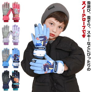 q h ̎q WjA ̎q j̎q XL[O[uLbY g j̎q ~ Ⴞ h 5{w XL[ ۉ