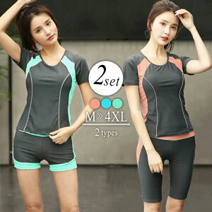 傫TCY }}  50 tBbglX 30 fB[X ~ZX ̌^Jo[ 20 40 2_Zbg