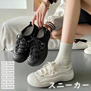 wZ  Xj[J[ T_ ̎q ʊwC ^C ^ LbY ʋC y fB[X X|[c V[Y jOV[Y