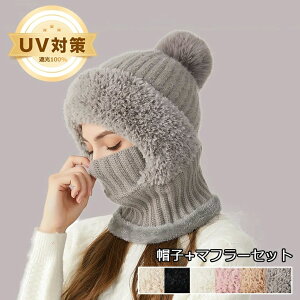 } D Ă Rt x[ Rbg 悯Xq uv [ ΍L AEghA  fB[XXq fB[X Xq