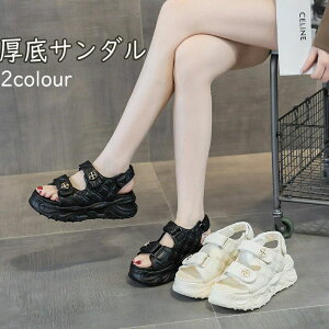 T_ 21.5cm AEghA zCg   TCY ʋ fB[X  ubN JWA ɂȂ Vv gAbv X|T g Xj[J[ ₷ r 