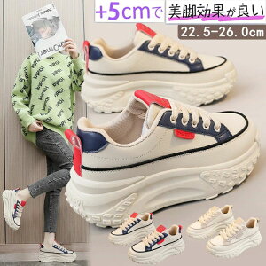 fB[XpvX ^C  Xj[J[ ~ h fB[X ʋC y +5cmUP gAbv Xj[J[ u[c