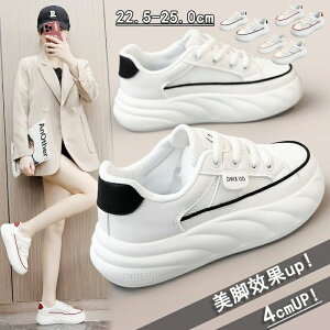 +4cmUP  ~ ^C gAbv Xj[J[ u[c fB[Xpv ʋC fB[X ܐی Xj[J[