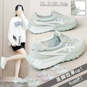 fB[X +5.5cmUP  fB[Xpv u[c ^C Xj[J[ tHXg?KvC  Xj[J[ gAbv