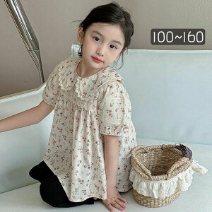 LbY q V[g TVc ̎q ZbgAbv X|[cEFA XEFbg q pc ㉺Zbg tVc 