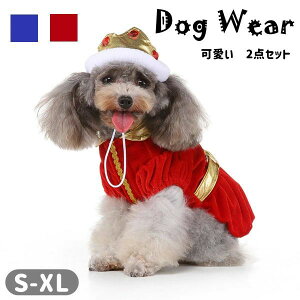 RX`[ ̕ Cxg halloween ^ q j hbOEFA  킢 ybgpi  ybg p