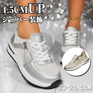 fB[X Xj[J[ Xj[J[ fB[Xt@bV KȌJW [XAbv ꂢ U[ C Wbp[