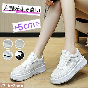 ^C ʋCQ Xj[J[ ~ h gAbv fB[XpvX +5cmUP Xj[J[  fB[X u[c