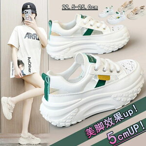 ʋC fB[X  gAbv fB[Xpv V[Y ^C Xj[J[ C +5cmUP Xj[J[ u[c bV