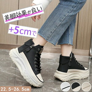 Xj[J[ fB[X gAbv ^C ~ fB[XpvX u[c  Xj[J[ +5cmUP ʋCQ h