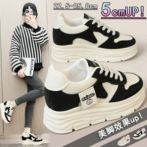 fB[Xpv ʋC Xj[J[ +5cmUP u[c  gAbv ^C ܐی ~ Xj[J[ fB[X