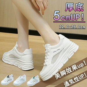 bV +5cmUP  ^C ~ Xj[J[ fB[Xpv gAbv Xj[J[ ʋC u[c fB[X