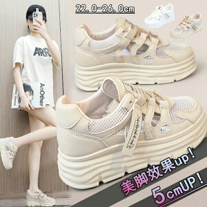 Xj[J[  C gAbv fB[X bV ^C V[Y Xj[J[ fB[Xpv u[c ʋC +5cmUP