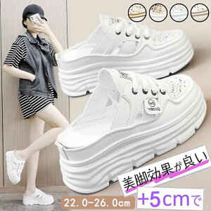 +5cmUP Xj[J[ fB[XpvX u[c ^C gAbv Xj[J[ T_ ʋCQ fB[X ~