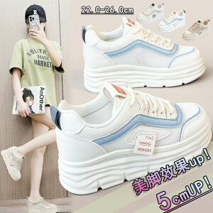  Xj[J[ fB[X u[c gAbv +5cmUP ʋC fB[Xpv ~ Xj[J[  h ^C