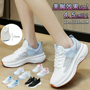 y  gAbv fB[X C ~ V[Y ʋC Xj[J[ +4.5cmUP Xj[J[ [Jbg r ^C