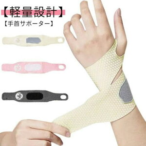 ew ʋC h~ ~ T|[^[ F ֐ߕی L  2  z T|[^[p T|[^[