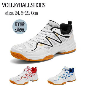 o[{[V[Y jOg[jOCَ̈X YX|[cV[yʊ~ߒʋC싅 oh~gV[Y