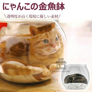 ANLیJo[ ̂ LnEX L ybgnEX L ɂ񂱂̋ p   qLp